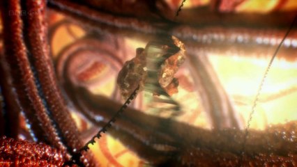 The Secret Micro Universe: The Cell
