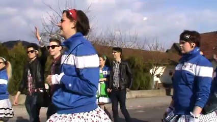 Faschingszug Diebach 2014 Video Hubert und Matthias Dschungelcamp (23)