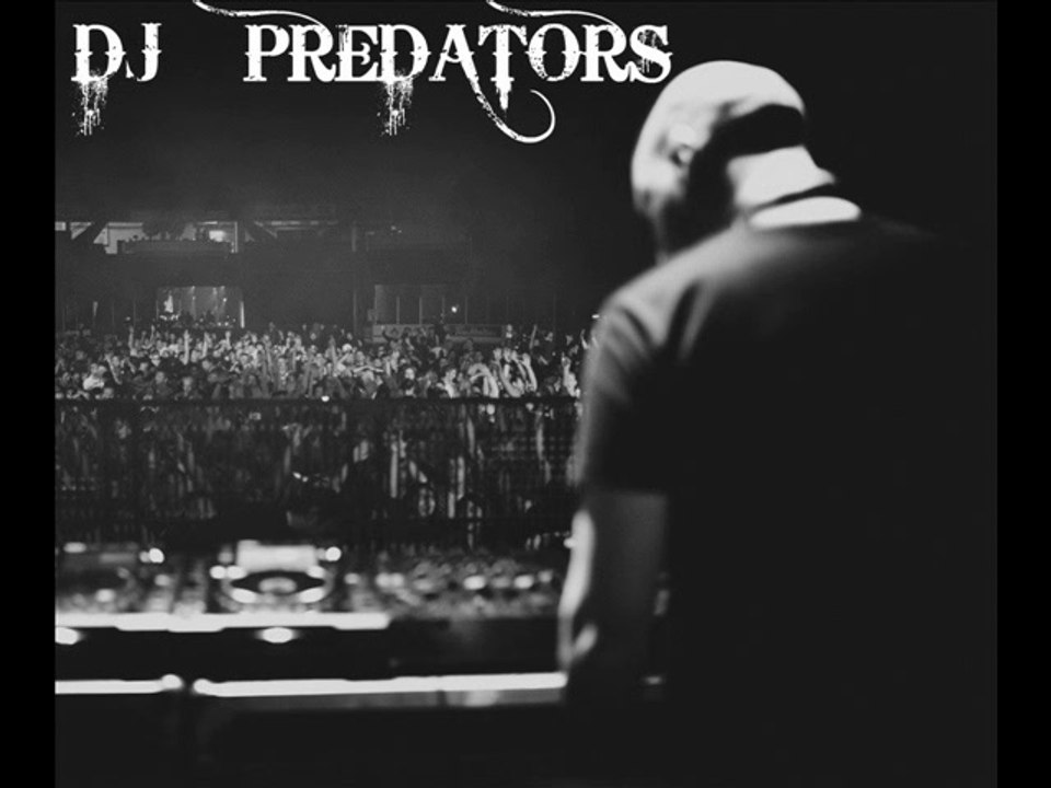 HOLLYWOOD - DJ PREDATORS