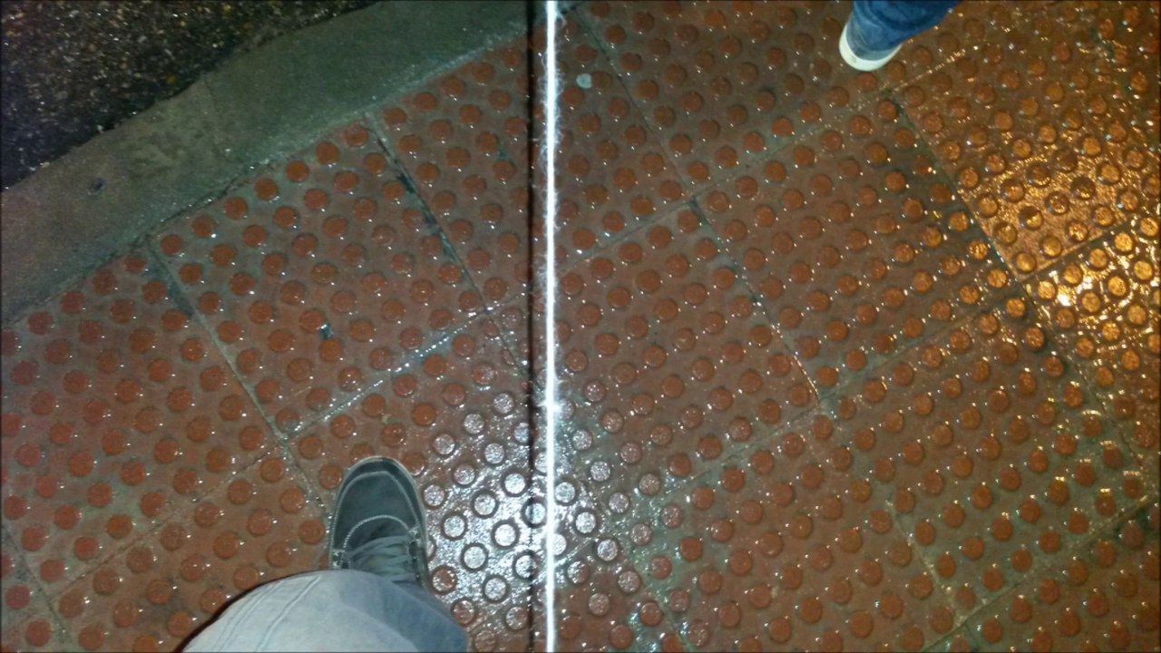Proyecto plástica