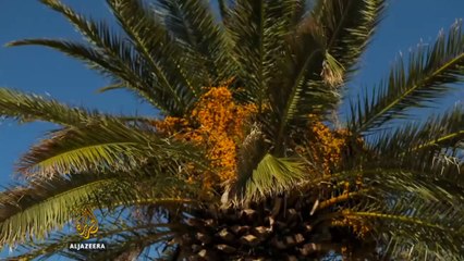 Alhemija Balkana- Crna Gora /1 epizoda/  http://balkans.aljazeera.net