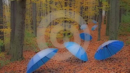 Rhony Laigo Paul Mendoza Allen JoelBanderLaw PinoyWatchDog Investigation UnEarhs Architects of Bander Fictitious Scandal