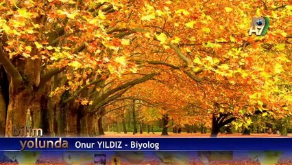 Bilim Yolunda - 1 - Canlılar Evrim Geçirmemiştir