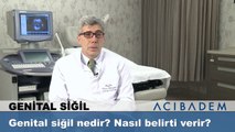 Genital siğil nedir nasıl belirti verir ?