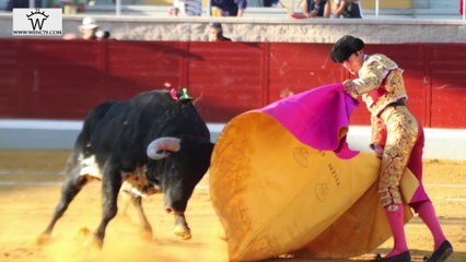 ALFARERO DE ORO 2013