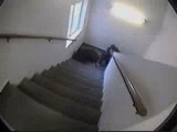 Régis Chute Dans Les Escaliers