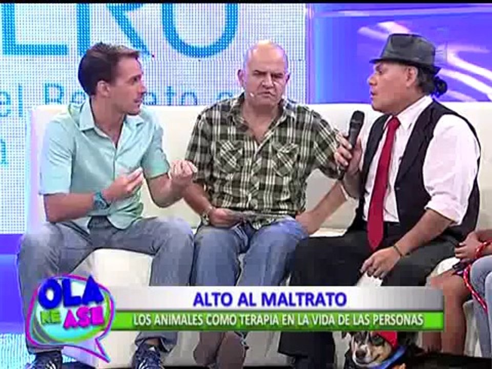 Sepa cómo los animales ayudan a las terapias de personas discapacitadas