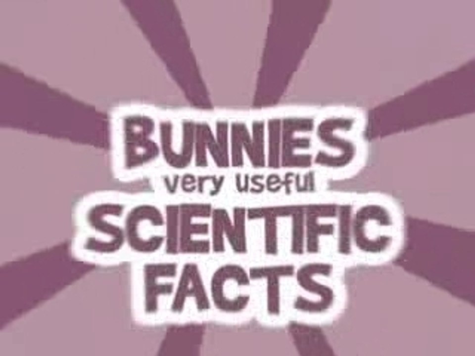 Compil Rayman vs. Lapins Crétins