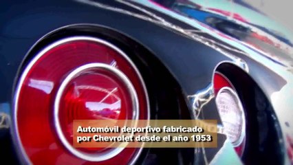 Tomatadas (Corvette 1974)