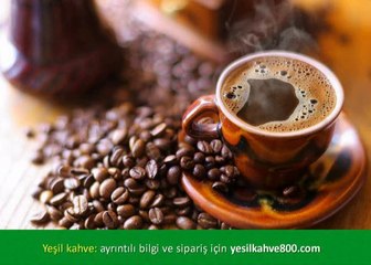 Yeşil Kahve Diyeti
