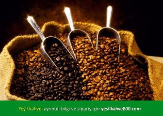 Yeşil Kahve Sakarya