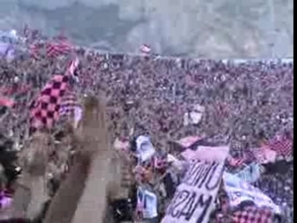 palermo calcio