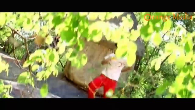 Nagendra Babu Full Fire On Allari Naresh And His Friends From Roommates Movie