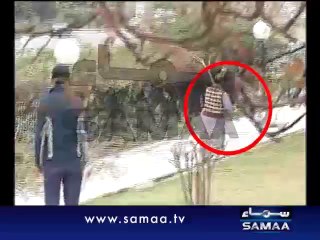 Wild boar breaches Supreme Court security