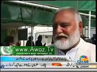 There is no one like Shahid Afridi in Pakistan Politics -- Parliamentarians Views