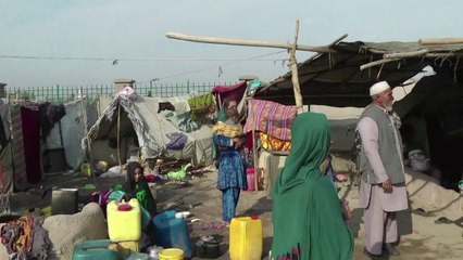 La frontière afghano-pakistanaise, défi de la lutte anti-polio
