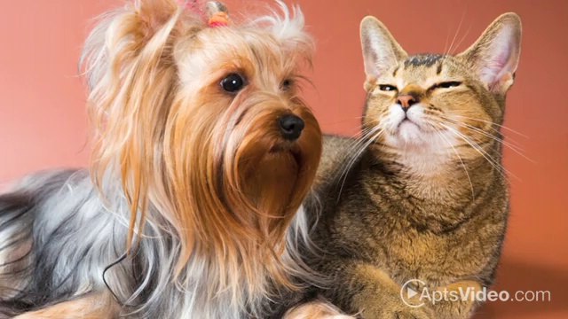 Woodcreek at Regency Square Apartments in Jacksonville, FL - ForRent.com