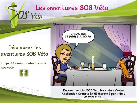 Véto spécialisé Equin