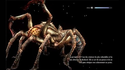 L'intégrale Skyrim - Ep 207 - Playthrough FR HD par Bob Lennon