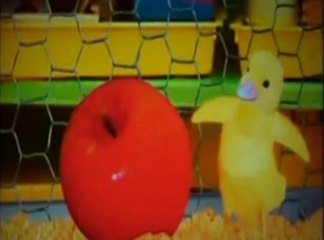 마카오배당═══••════••▶ＳＣＯ９９９．ＣＯＭ◀••════••═══마이토토