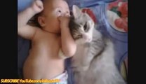 FUNNY VIDEOS_ Funny Cats - Funny Baby - Funny Cat Videos - Funny Animals - Funny Babies Videos(wmv)(wmv)(wmv)(wmv)(wmv)(wmv)