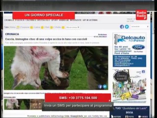 Controversia tra Tozzi e il Presidente di Arcicaccia 🦆