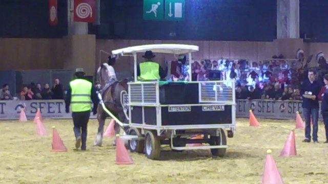 maniabilité rurale trophée trait d'avenir