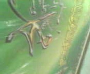 MUHAMMAD ZIYARAT ALI QADRI