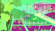 La Légende du Chou - Extrait - Un court métrage d'animation de Pascale Hecquet