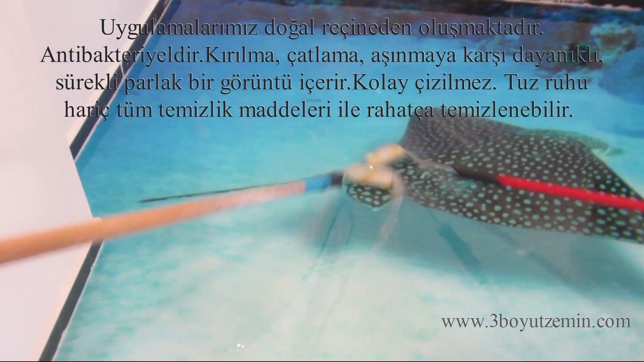 www.3boyutzemin.com