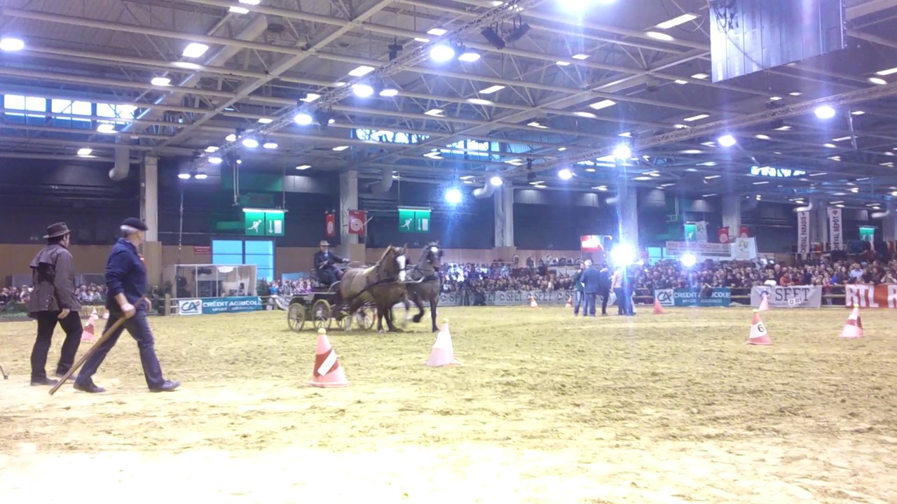 maniabilité trophée trait sportif bretons sia 2014