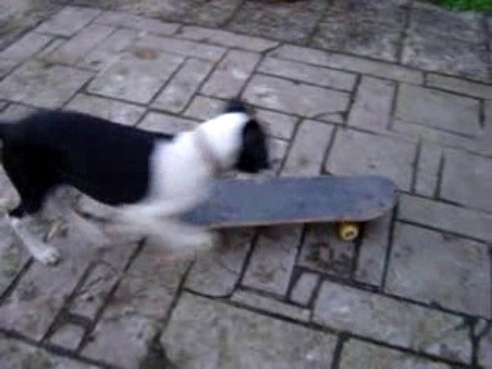 Apache skate