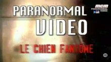 Paranormal vidéo_le chien fantome S02E11