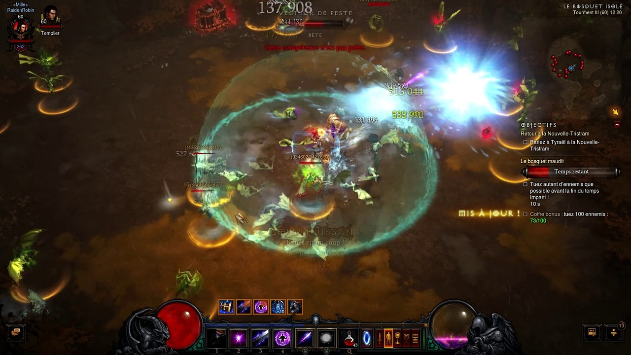 Diablo 3 : Le bosquet maudit - Champs du malheur - Bosquet d'arbres - Coffre