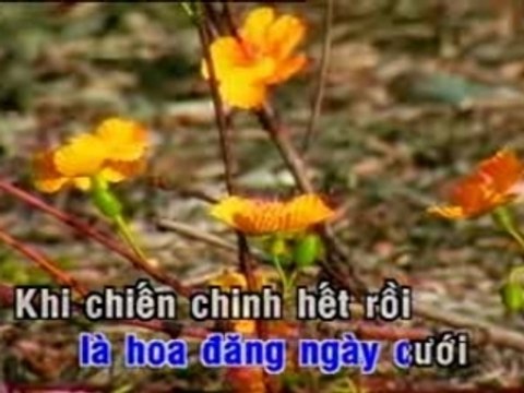 Nhung Dom Mat Hoa Chau -Trang thanh lan