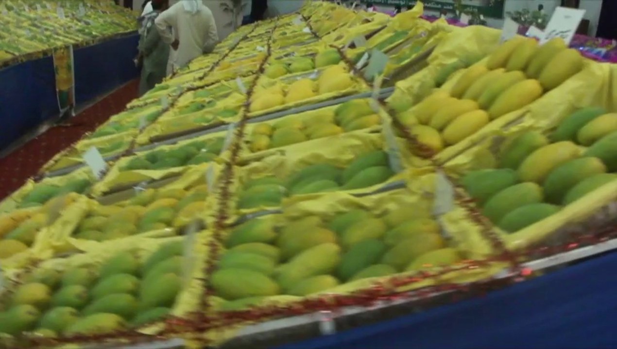 Pakistani Mangoes Jun 25, 2011 Rahim Yar Khan P...