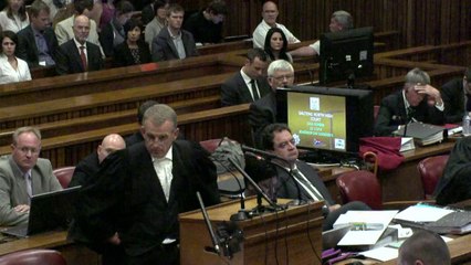 Ex-girlfriend says Pistorius shot gun at traffic light