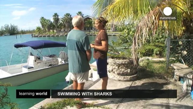 Breaking down the barriers to equal education rights