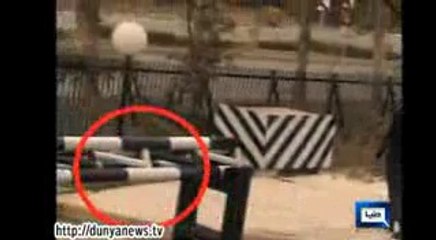 jangli janwar in supreem court