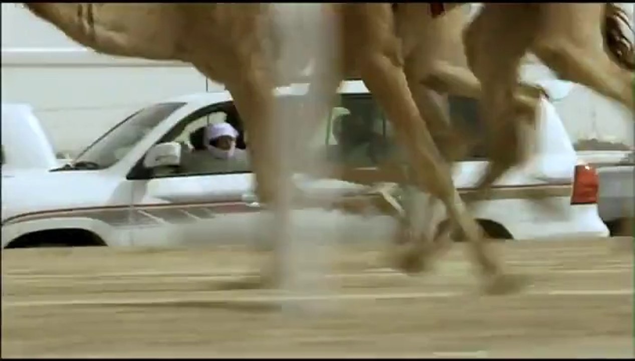 Qatar, la puissance et la gloire (extrait)