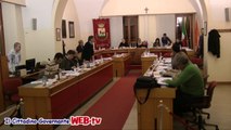 Consiglio comunale 10 febbraio 2014 punti 8 e 9 modifiche regolamenti entrate e tarsu intervento Arboretti