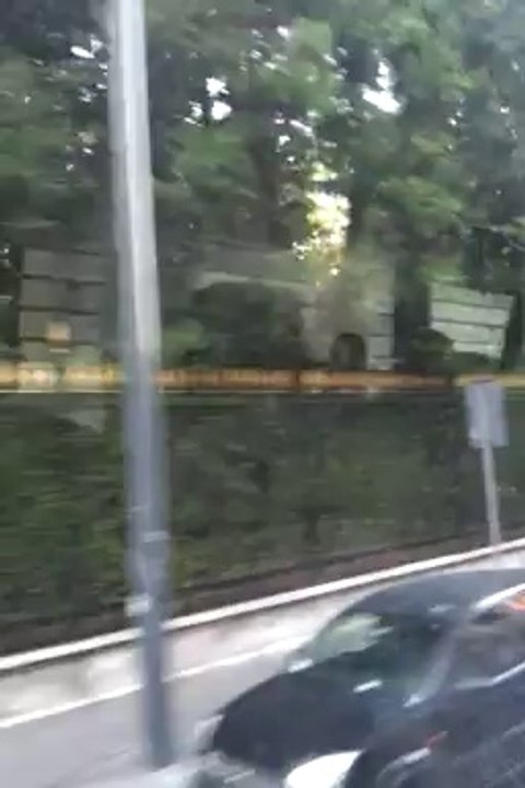 Milano