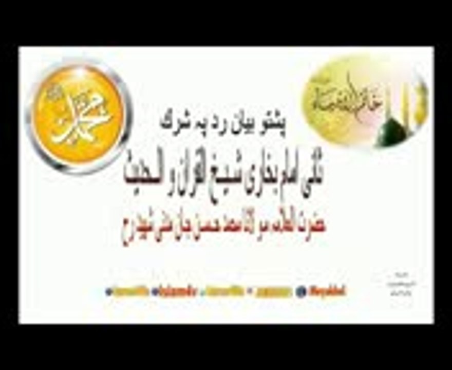 نوی بیان  rad pa shark_h263