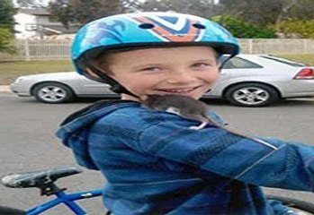 Why Petco Should Stop The Sale Of Rodents In Light Of Aidan Pankey's Death