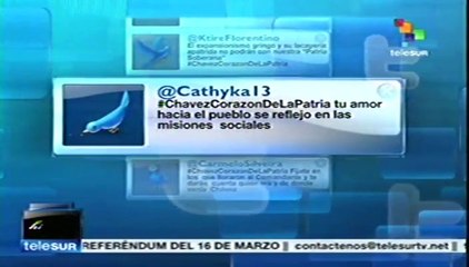 Profusa y rica en contenidos la literatura sobre Chávez en la Internet