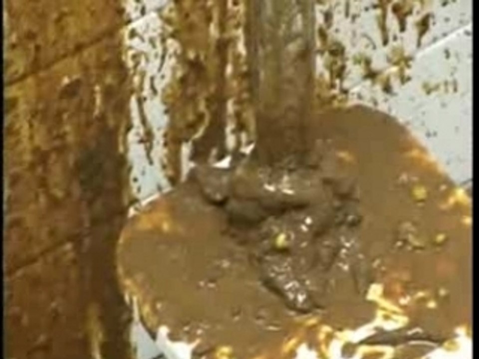 Jakass & Dirty Sanchez - Chiasse