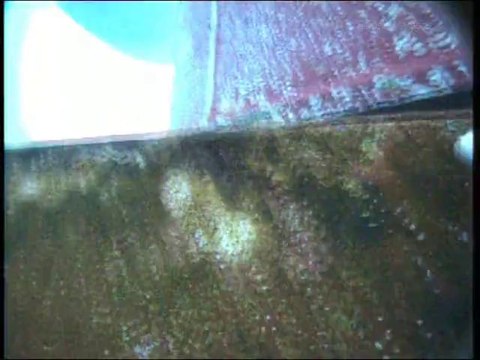 In water survey of ships Barbara Managou Diver