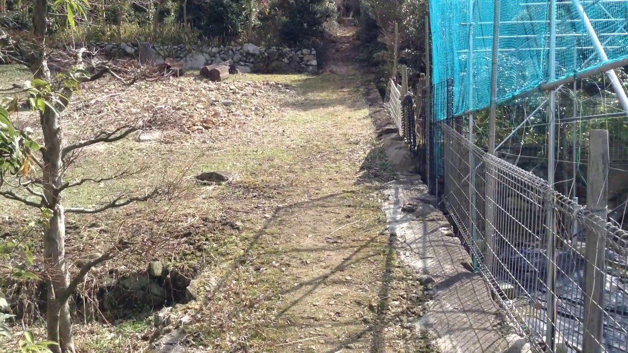 二室塚古墳（服部川２５号墳）