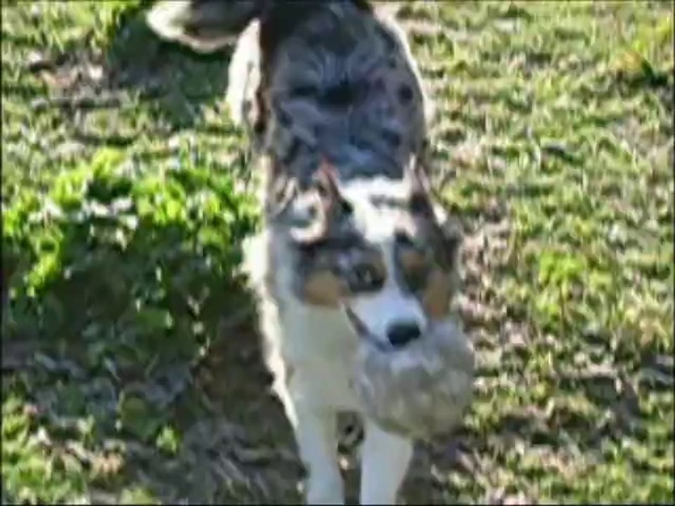 1er semaine de Noisette