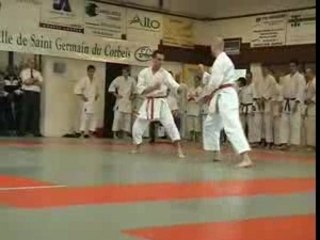 Taï-Jitsu Coupe de france 2004